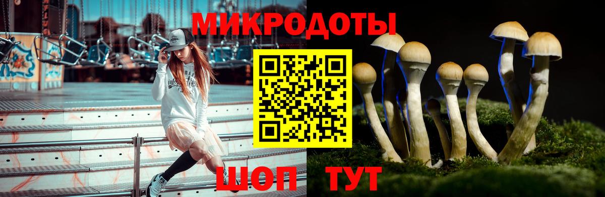 Галлюциногенные грибы MAGIC MUSHROOMS  Вход с VPN  дарнет шоп  Галлюциногенные грибы Psilocybine cubensis  Бахчисарай 